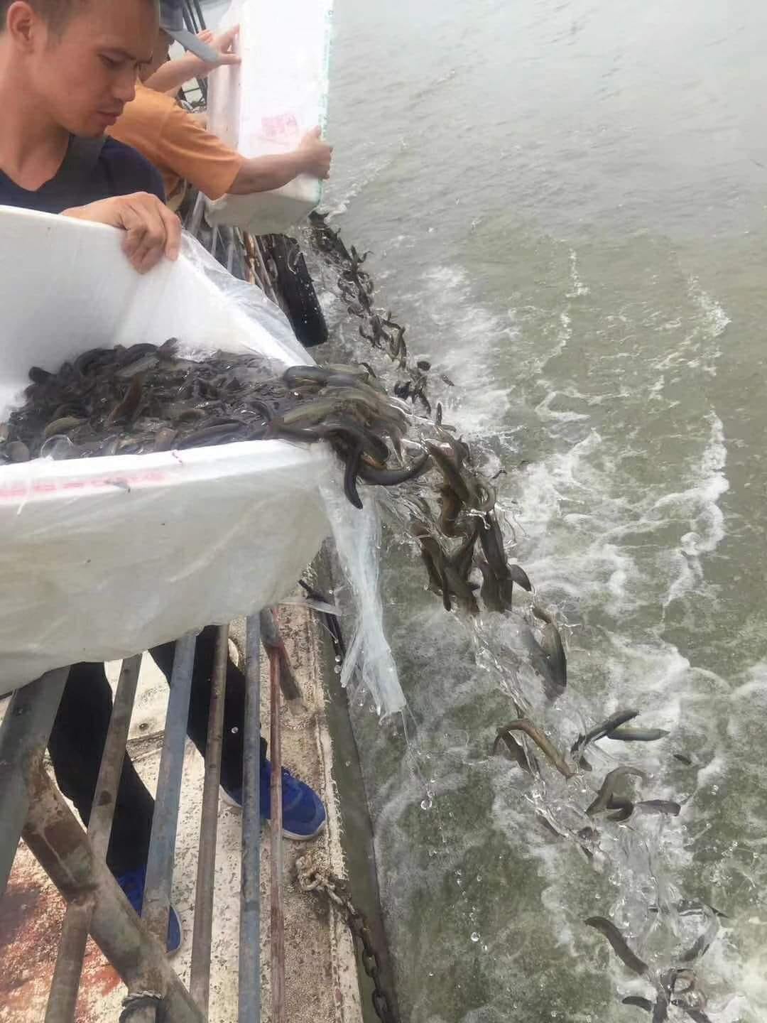 “卢台长”观世音菩萨“心灵法门”共修